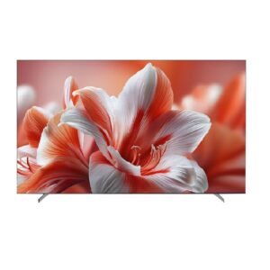 Multynet 65 Inches Android QLED TV 65IQ50